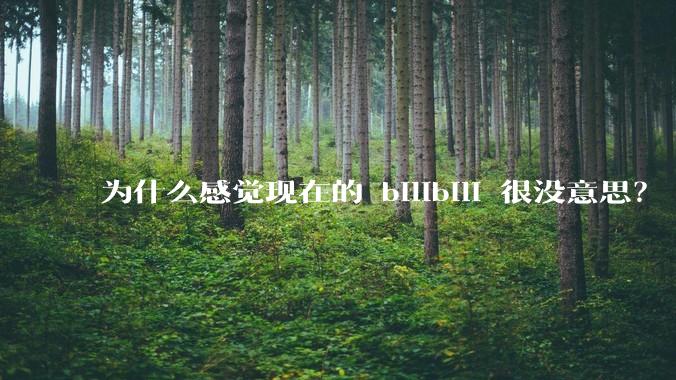 为什么感觉现在的 bilibili 很没意思?