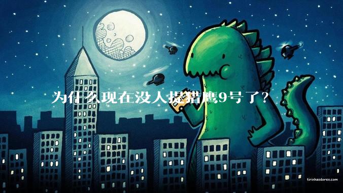 为什么现在没人提猎鹰9号了?