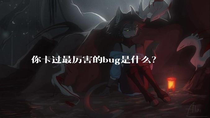 你卡过最厉害的bug是什么?