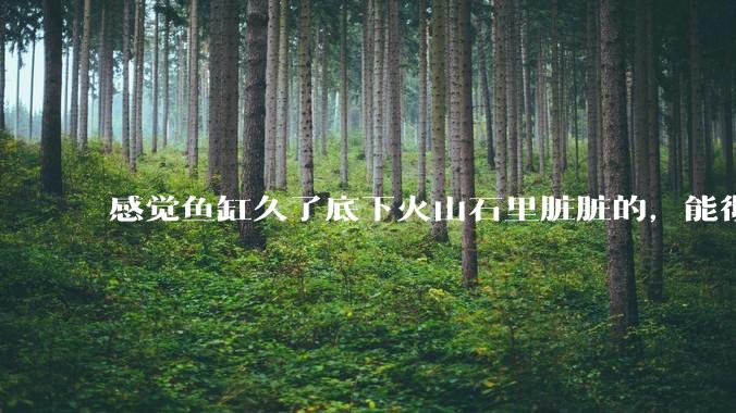 感觉鱼缸久了底下火山石里脏脏的,能彻底换水清理一遍不?
