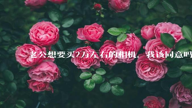老公想要买2万左右的相机,我该同意吗?