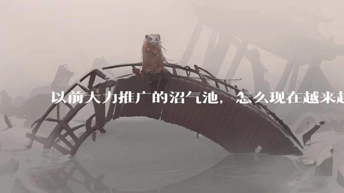 以前大力推广的沼气池,怎么现在越来越少了?