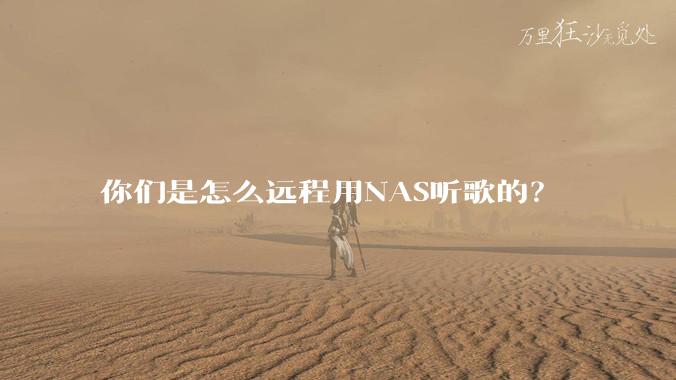 你们是怎么远程用NAS听歌的?