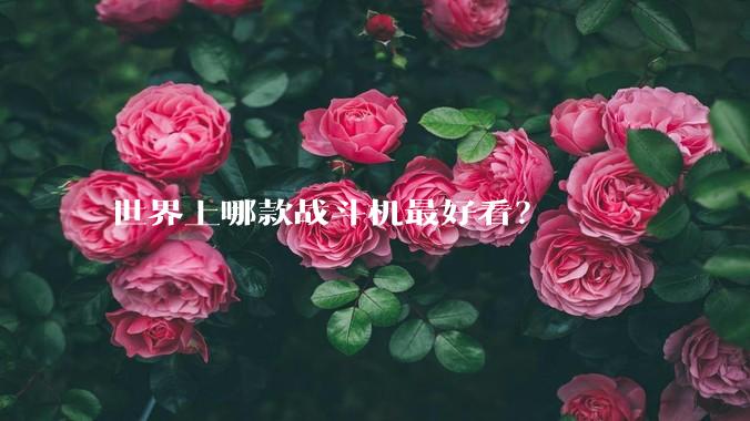 世界上哪款战斗机最好看?