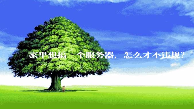 家里想搞一个服务器,怎么才不违规?