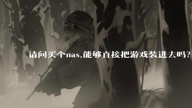 请问买个nas,能够直接把游戏装进去吗?