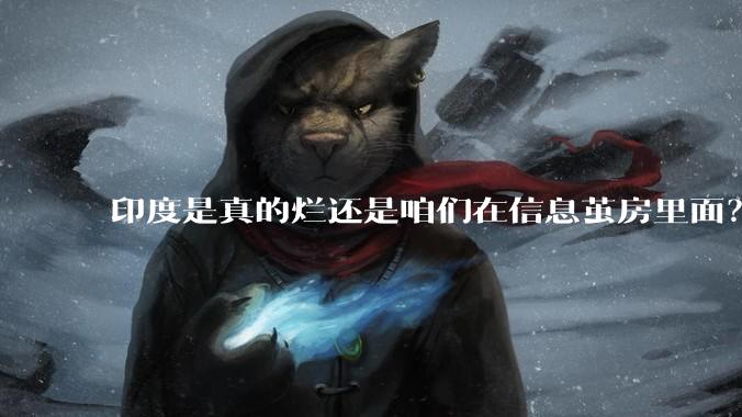 印度是真的烂还是咱们在信息茧房里面?