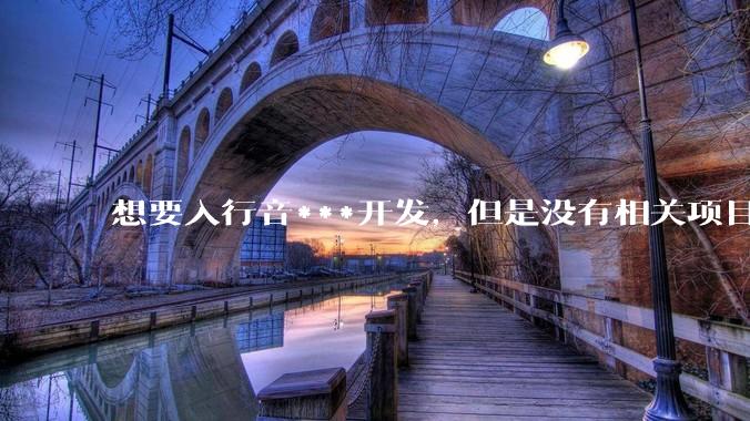 想要入行音***开发,但是没有相关项目经验怎么办?