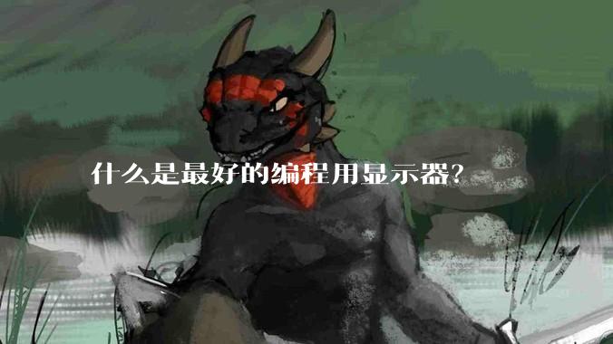 什么是最好的编程用显示器?