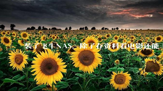 装了飞牛NAS,除了存资料看电影还能干什么?