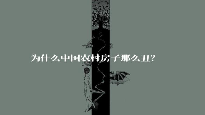 为什么中国农村房子那么丑?