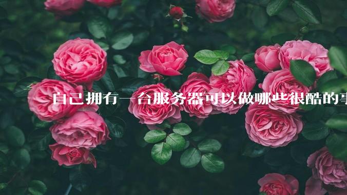 自己拥有一台服务器可以做哪些很酷的事情?