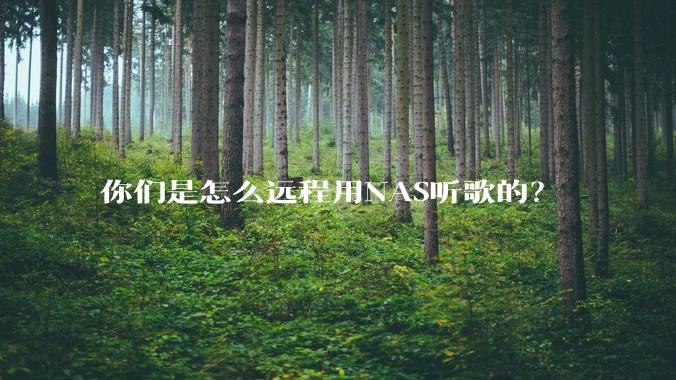你们是怎么远程用NAS听歌的?