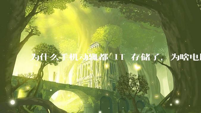 为什么手机动辄都 1T 存储了,为啥电脑还在死磕 512G 呢?