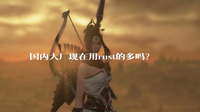 国内大厂现在用rust的多吗?