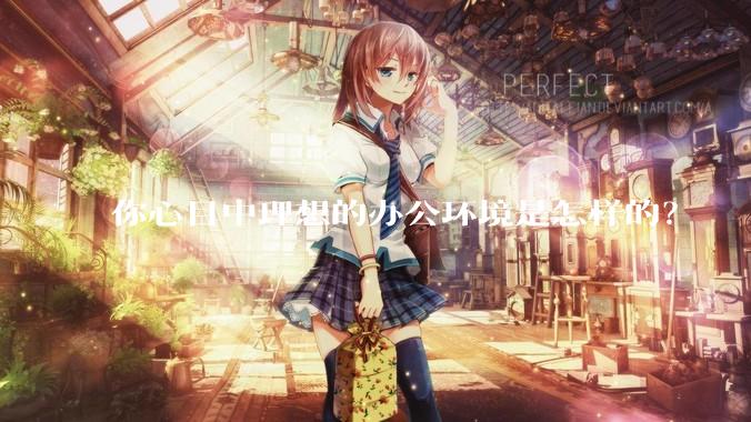 你心目中理想的办公环境是怎样的?