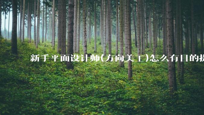 新手平面设计师(方向美工)怎么有目的提升设计能力?