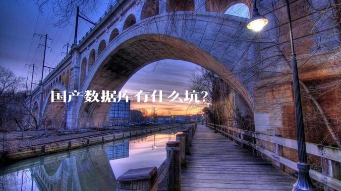 国产数据库有什么坑?