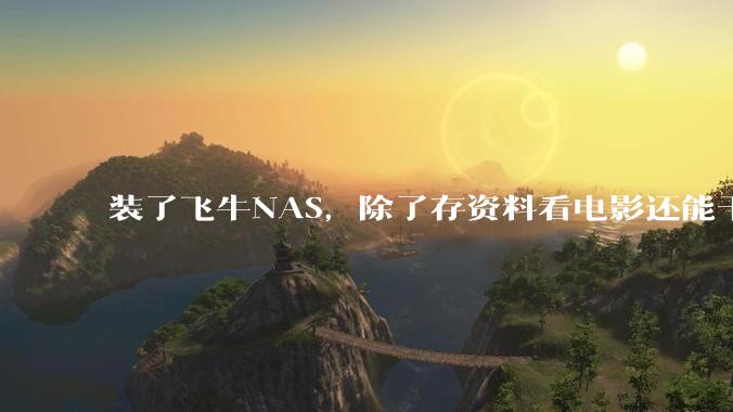 装了飞牛NAS,除了存资料看电影还能干什么?