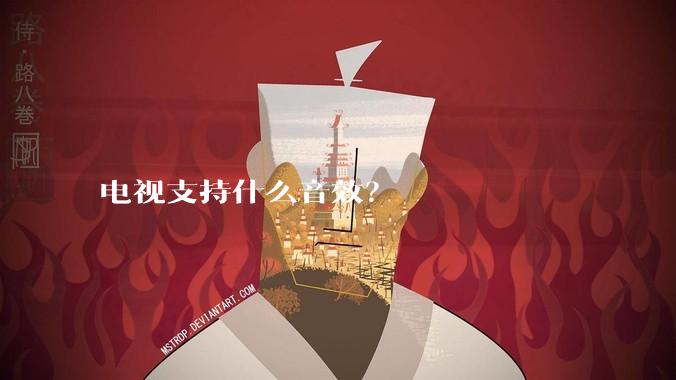 电视支持什么音效?