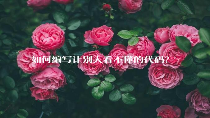 如何编写让别人看不懂的代码?