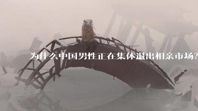为什么中国男性正在集体退出相亲市场?