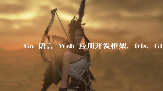 Go 语言 Web 应用开发框架,Iris、Gin、Echo,哪一个更适合大型项目?