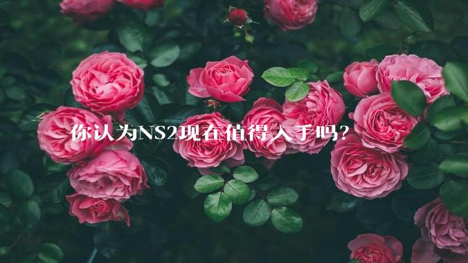 你认为NS2现在值得入手吗?