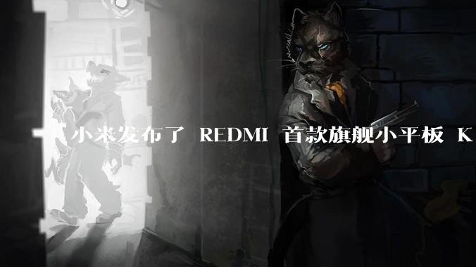 小米发布了 REDMI 首款旗舰小平板 K Pad,仅 8.8 英寸,小巧便携,如何评价这一设计?