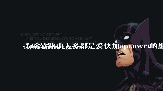 为啥软路由大多都是爱快加openwrt的组合,单openwrt有什么缺点嘛?
