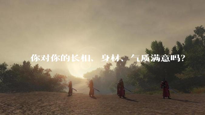你对你的长相、身材、气质满意吗?