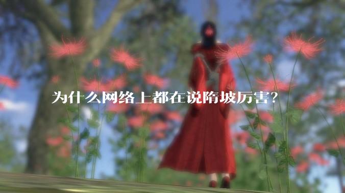 为什么网络上都在说隋坡厉害?