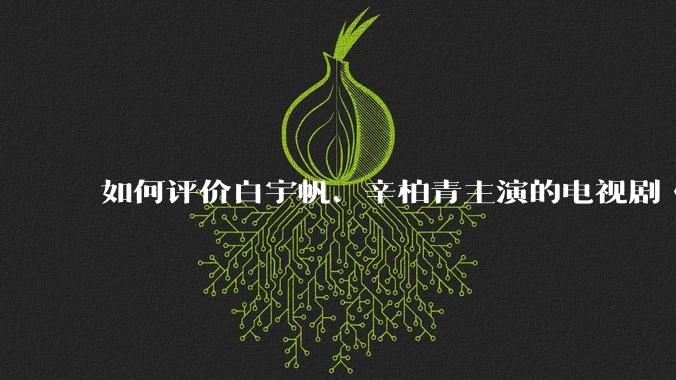 如何评价白宇帆、辛柏青主演的电视剧《护宝寻踪》?