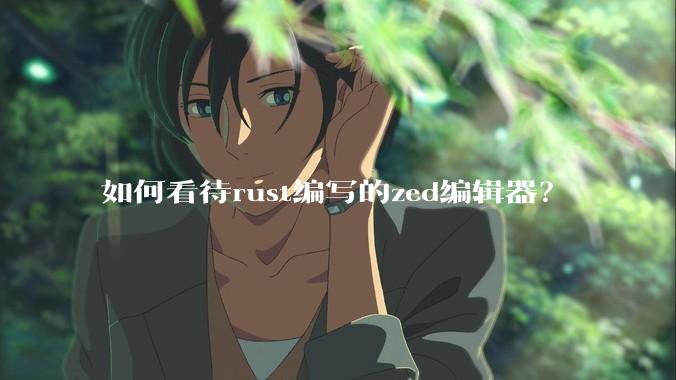 如何看待rust编写的zed编辑器?
