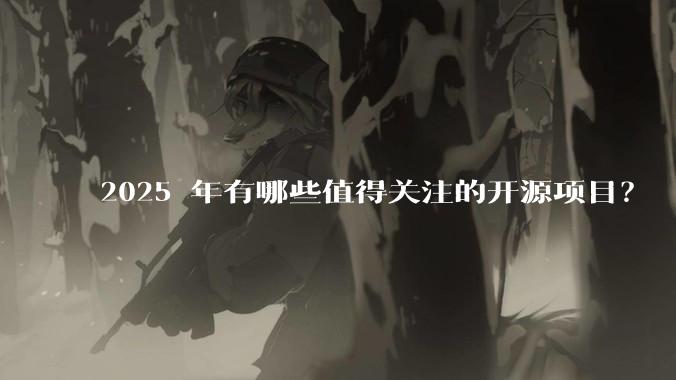 2025 年有哪些值得关注的开源项目?