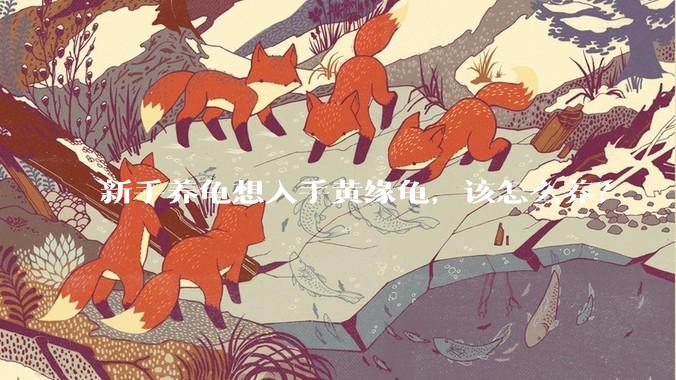 新手养龟想入手黄缘龟,该怎么养?