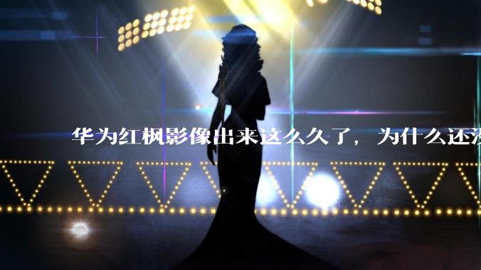华为红枫影像出来这么久了,为什么还没有友商跟进?是不是说明这是一项可有可无的技术?