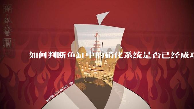 如何判断鱼缸中的硝化系统是否已经成功建立?