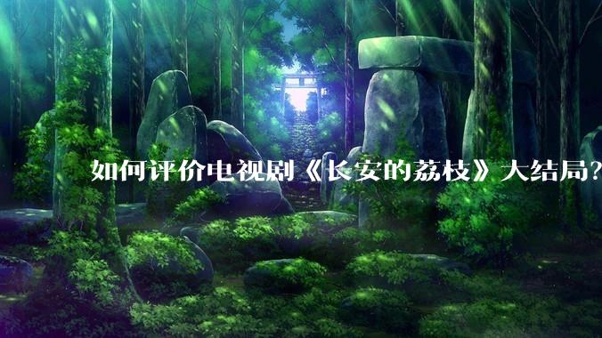 如何评价电视剧《长安的荔枝》大结局?