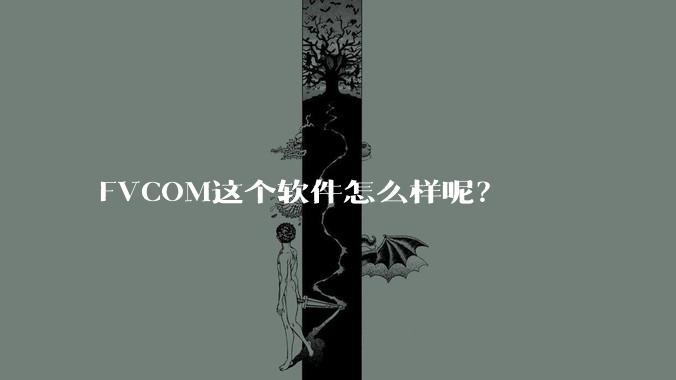 FVCOM这个软件怎么样呢?