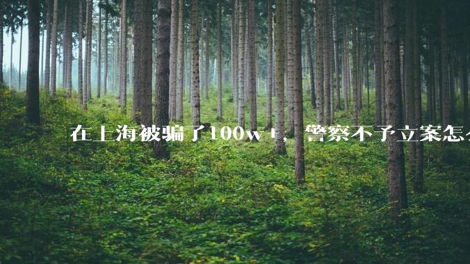 在上海被骗了100w+,警察不予立案怎么办?