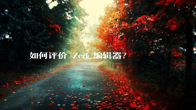 如何评价 Zed 编辑器?