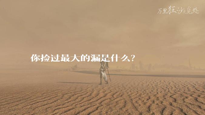 你捡过最大的漏是什么?