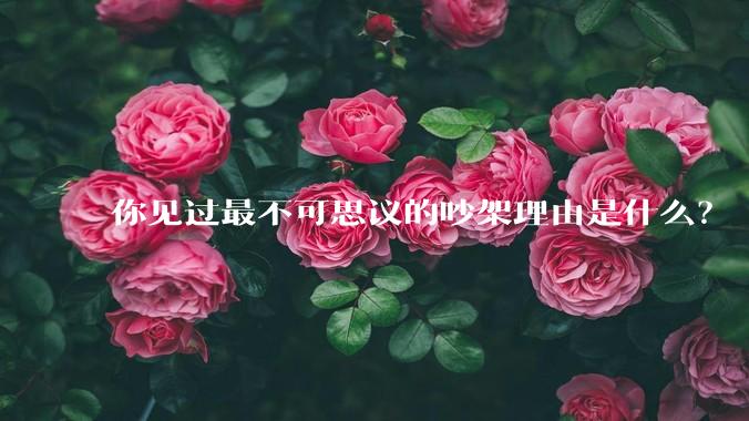 你见过最不可思议的吵架理由是什么?