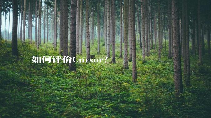如何评价Cursor?