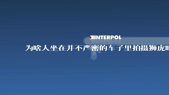 为啥人坐在并不严密的车子里拍摄狮虎时,这些猛兽却很少攻击人?