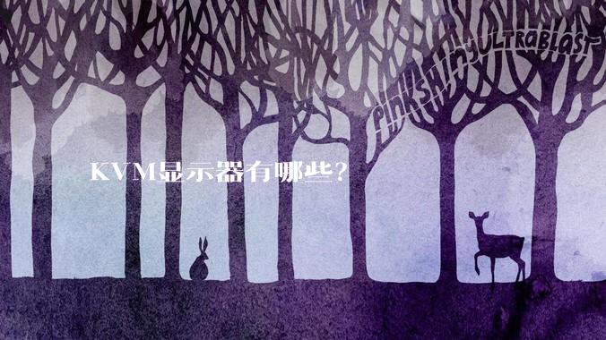 KVM显示器有哪些?