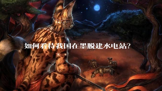 如何看待我国在墨脱建水电站?