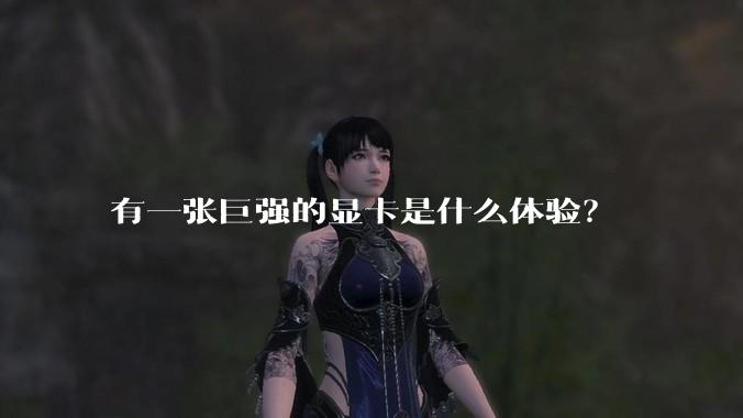 有一张巨强的显卡是什么体验?