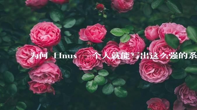 为何 Linus 一个人就能写出这么强的系统,中国却做不出来?